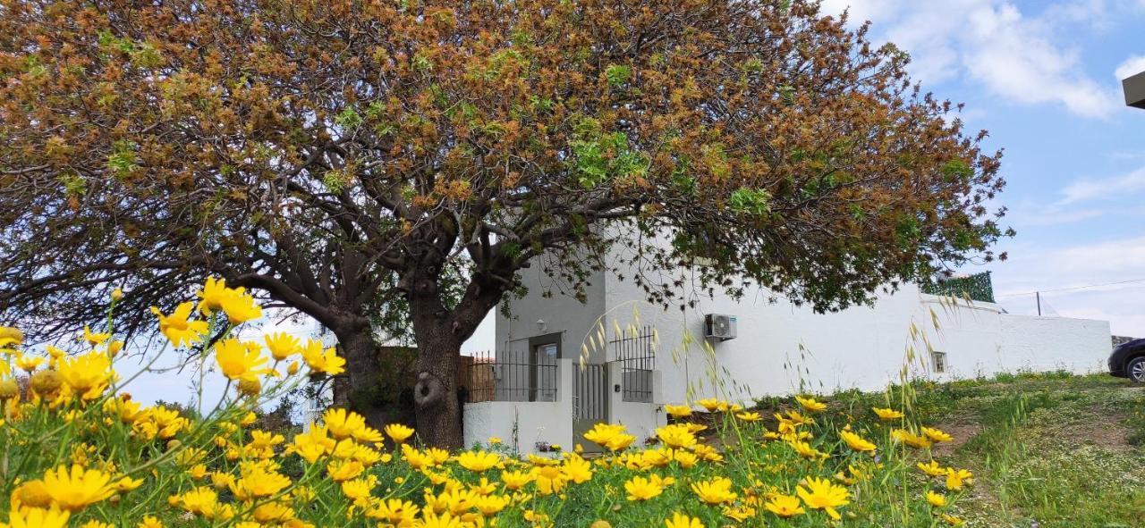 Traditional Suburbs Maisonette Kos-stad Buitenkant foto